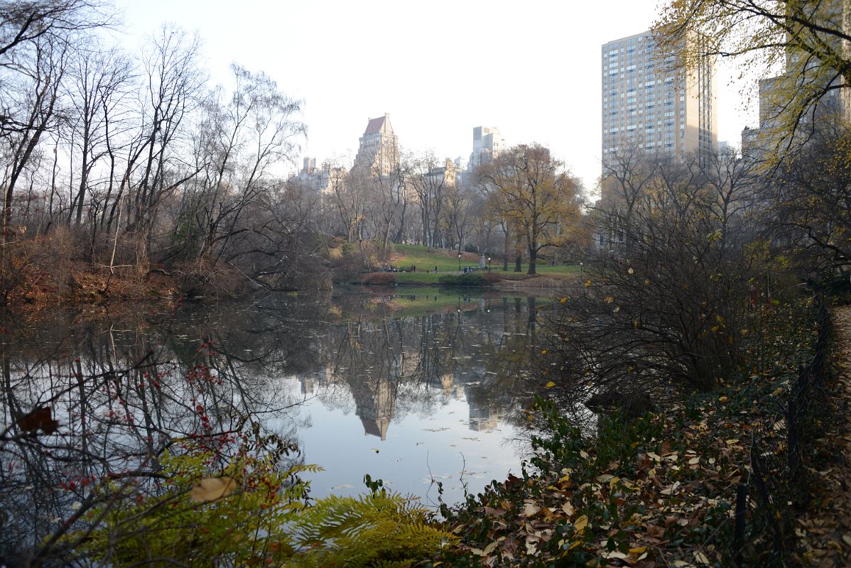 11B The Pond In Central Park Southeast In December looking Toward Fifth Ave
